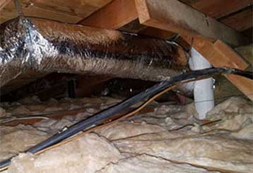 Reasons To Clean Your Crawl Space | Attic Cleaning Pasadena, CA