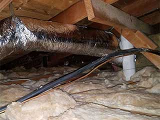 Clean Your Crawl Space | Attic Cleaning Pasadena, CA