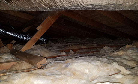 Schedule Today | Attic Cleaning Pasadena CA