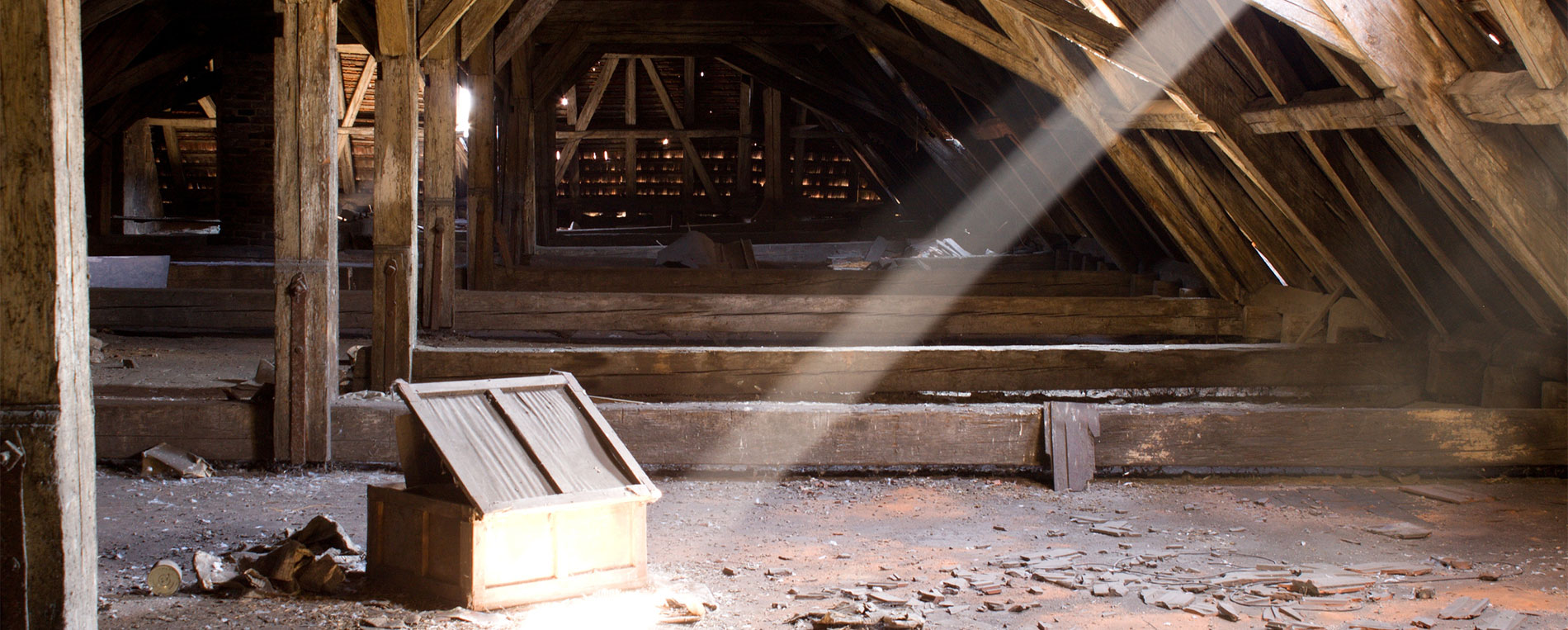 Attic Cleaning Pasadena, CA