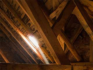 Insulation Removal | Attic Cleaning Pasadena, CA Insulation Removal | Attic Cleaning Pasadena, CA